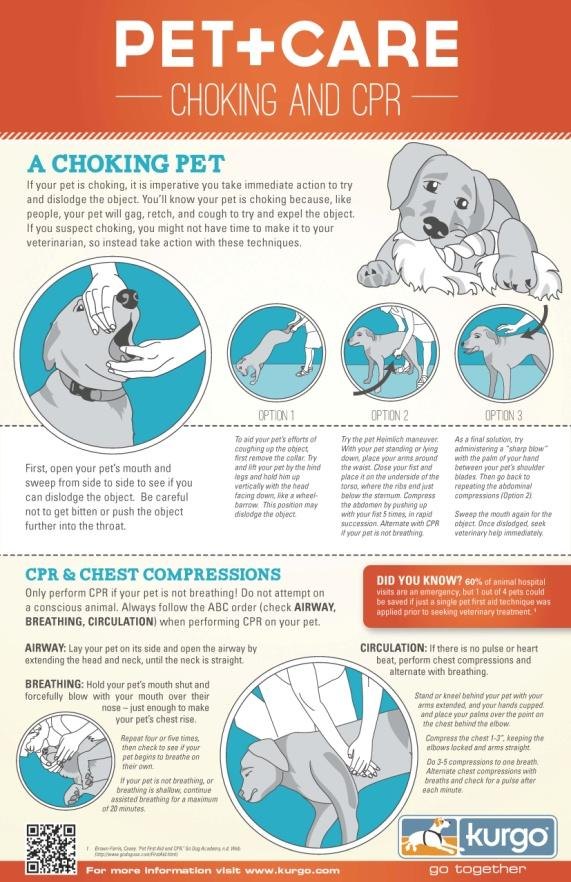 Pet choking and CPR infographic