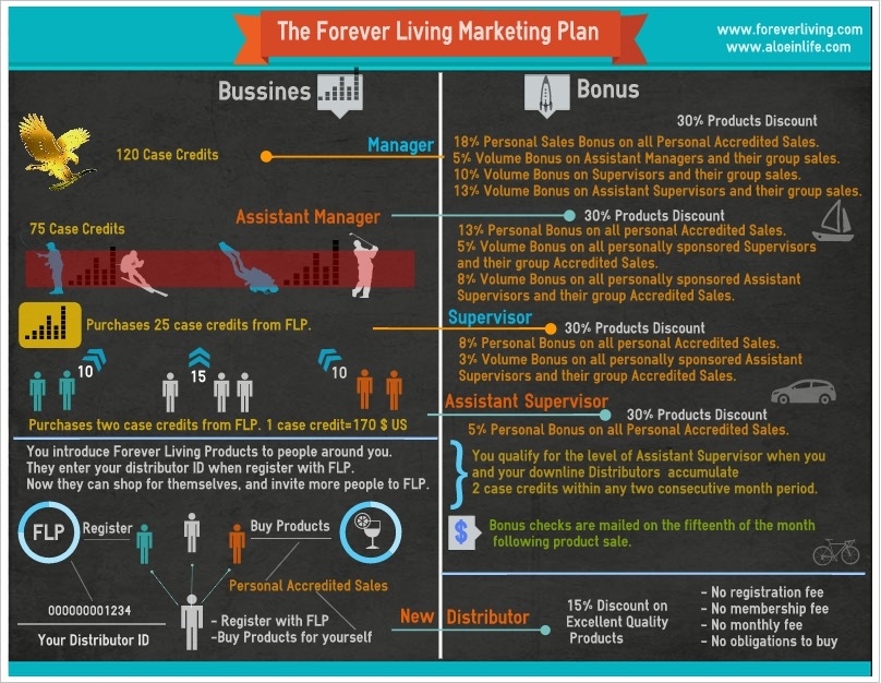77433Forever Living Products Marketing Planimage Simple Infographic