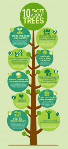 tree facts infographic