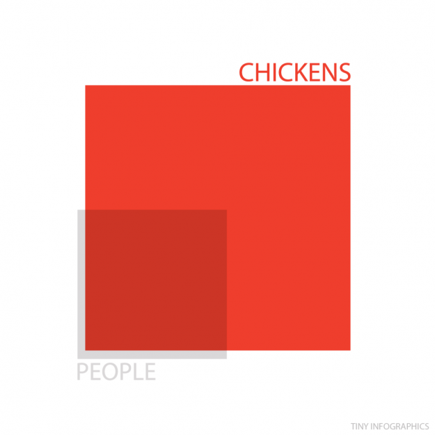 chicken pop v people pop