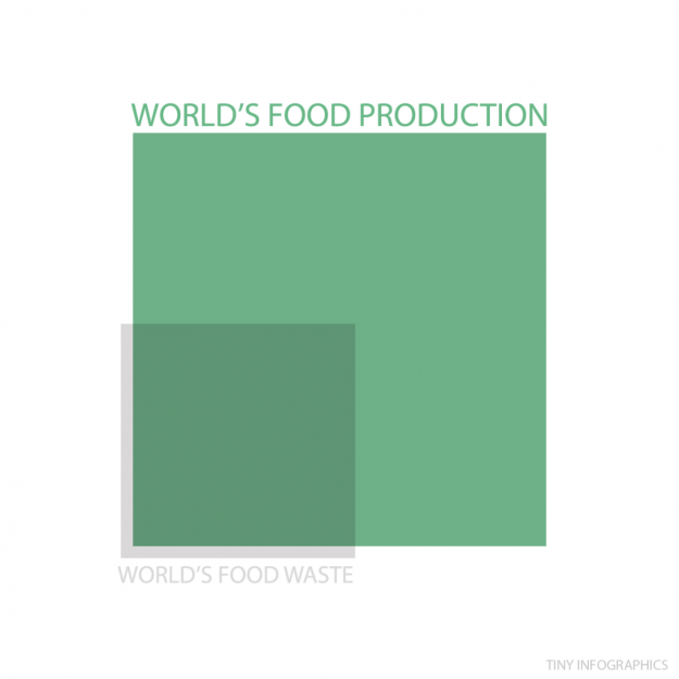 world food production v world food waste
