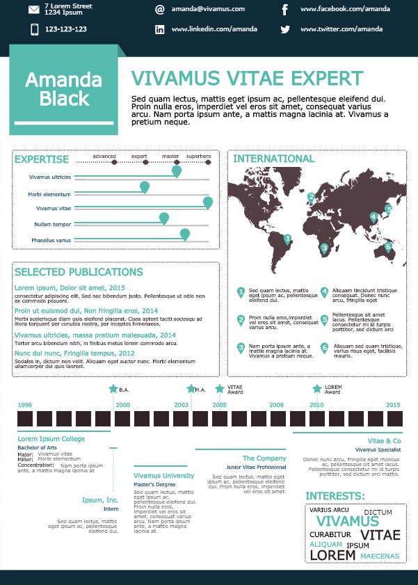 infographic resume example