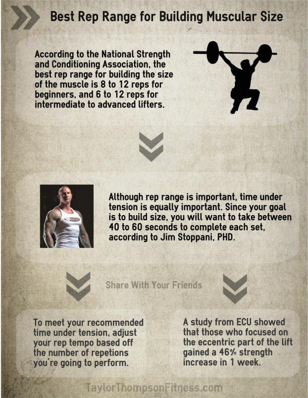 Bodybuilding infographic