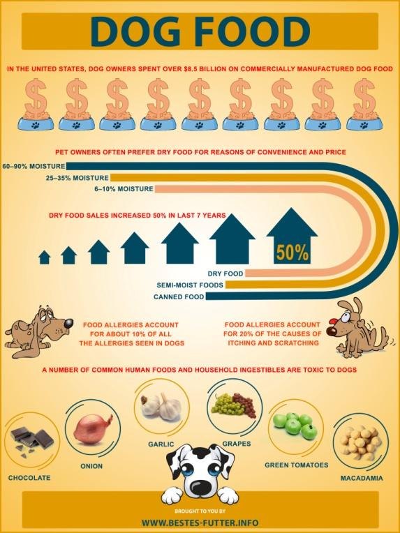 dog food infographic