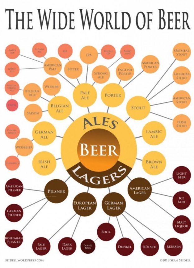 types of beer infographic