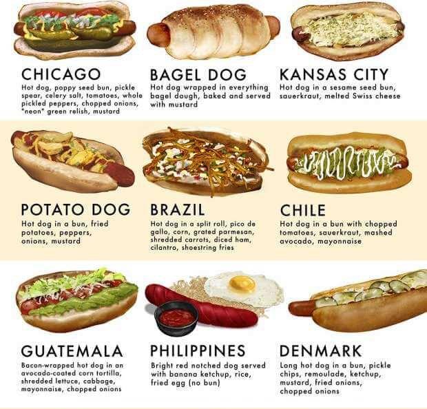 hotdog infographic example