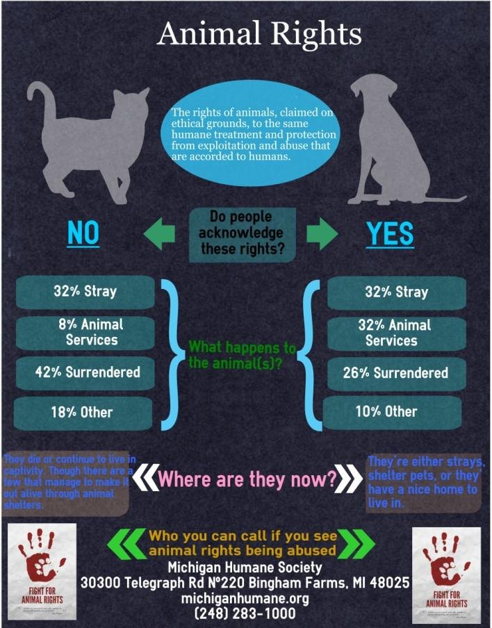 Animal rights infographic