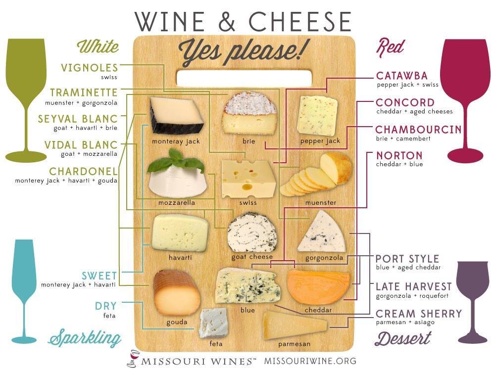 Wine and cheese infographic