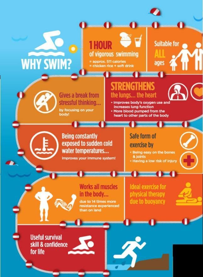 Swimming infographic