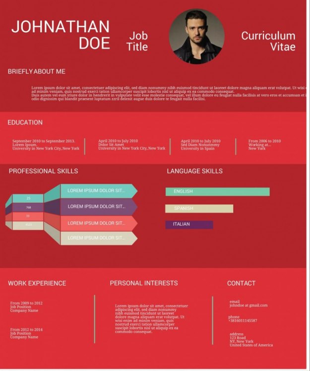 infographic resume example