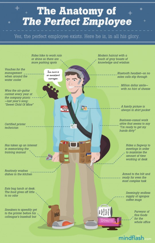 employee training infographic about the perfect employee