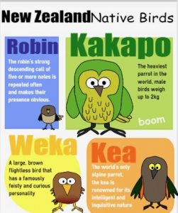 claire roper new zealand