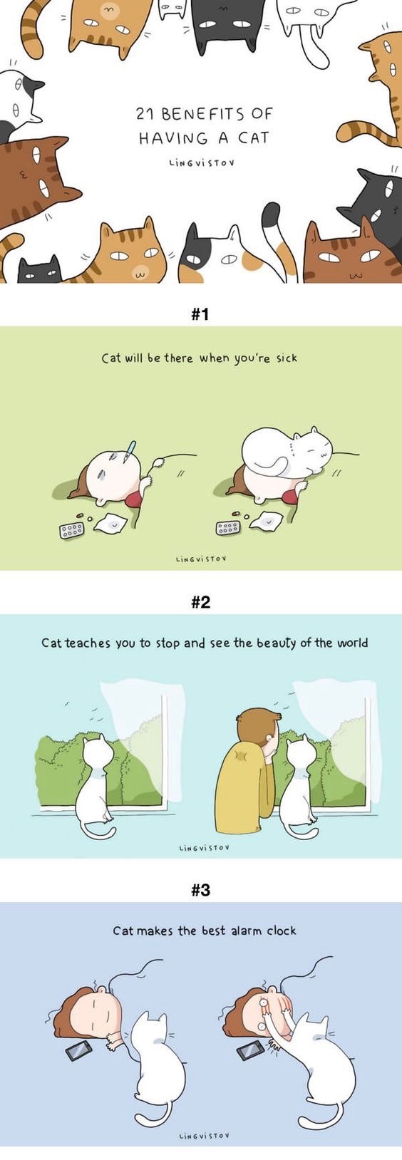 21 benefits of having a cat