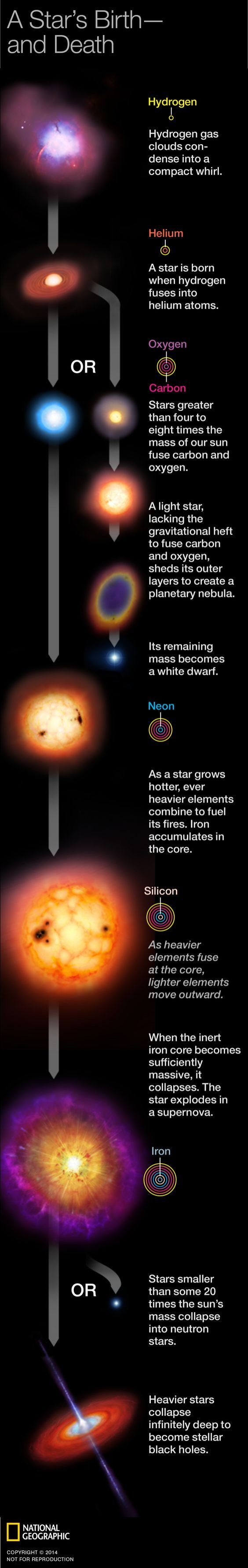 Astronomy infographic