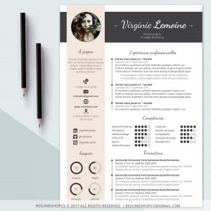 using pictograms in your resume