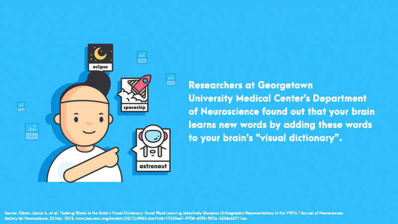 your brain learns new words by adding these words to your brain’s visual dictionary