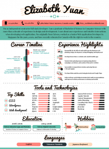 infographic resume example