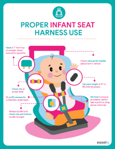animated infographic example 4