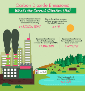 animated infographic example 7