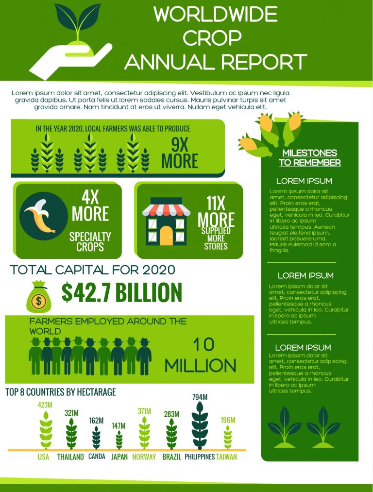 annual report infographic template