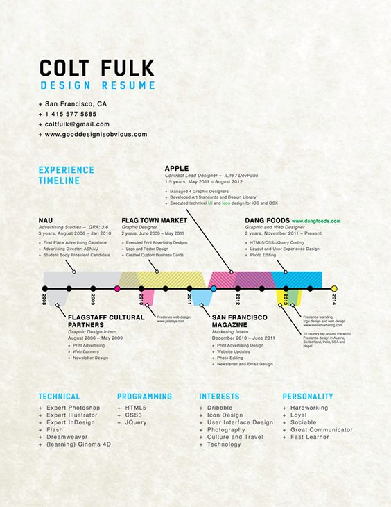 infographic resume timeline