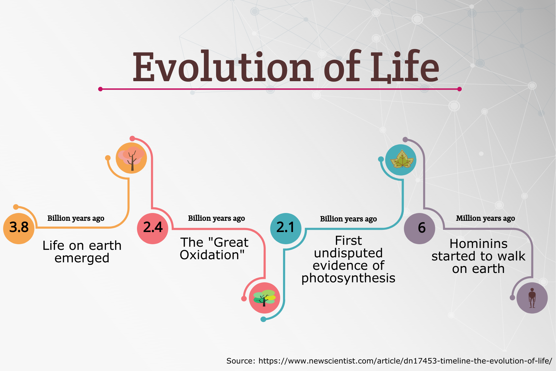 timeline of the evolution of life infographic Simple Infographic