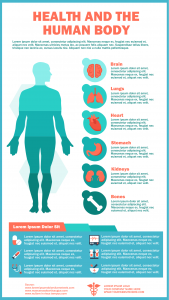Health and the Human Body Infographic Template