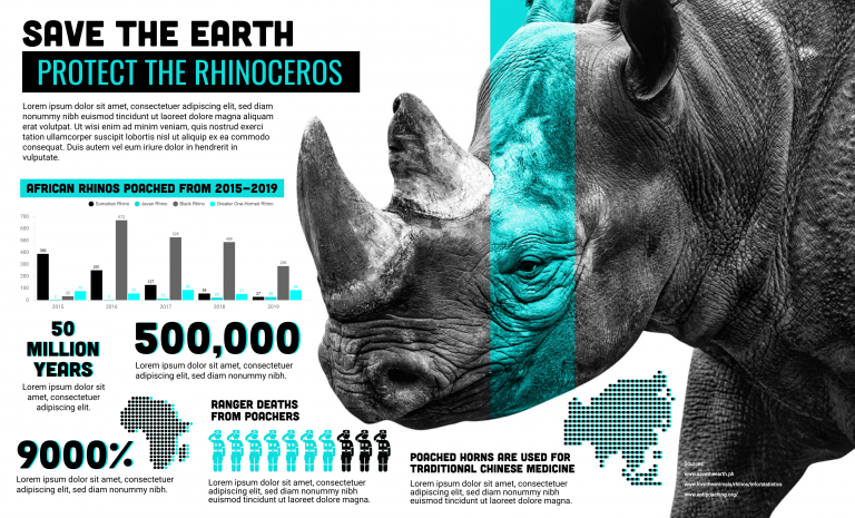 Rhinoceros Infographic Template