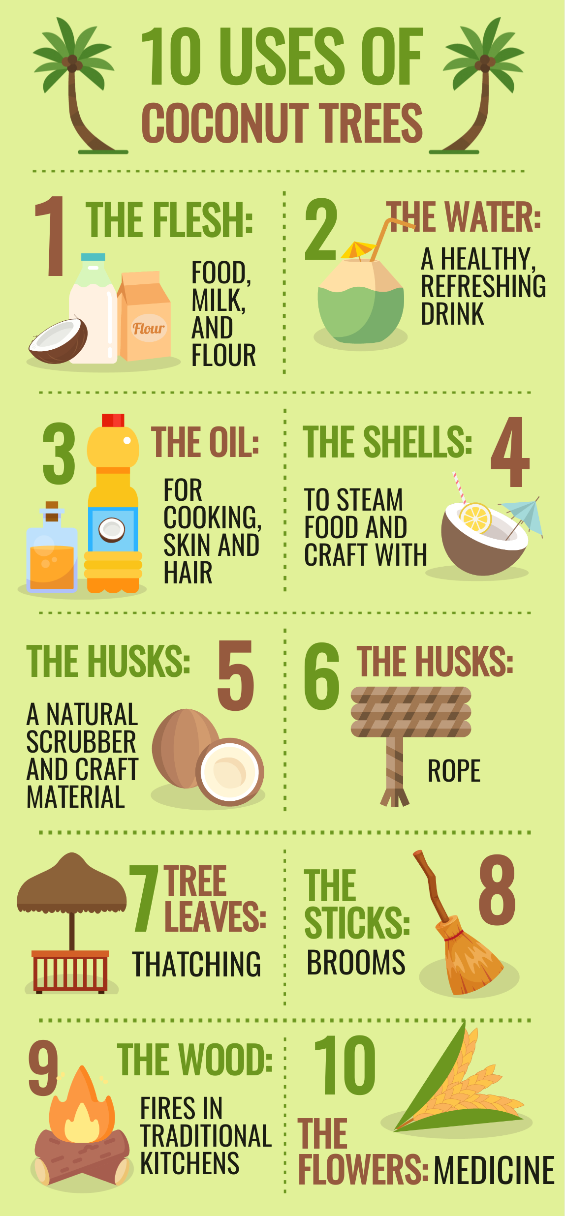 uses of coconut tree infographic 