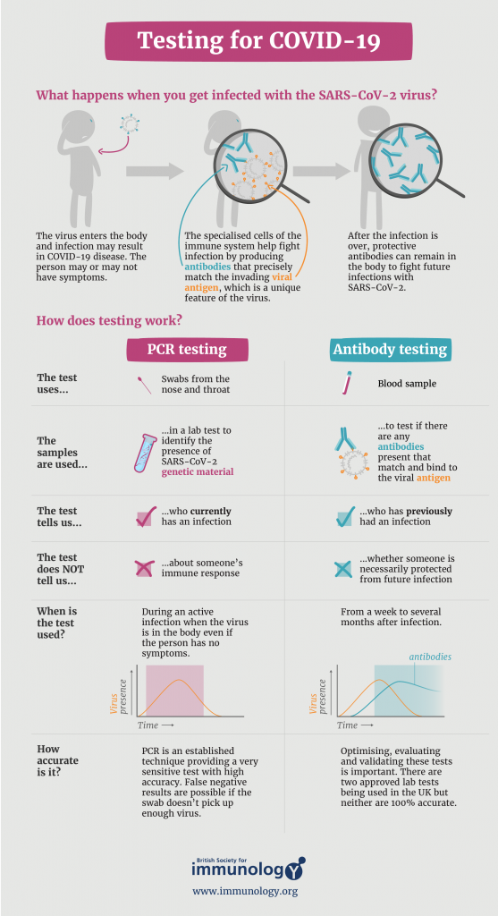 an infographic about covid-19 testing