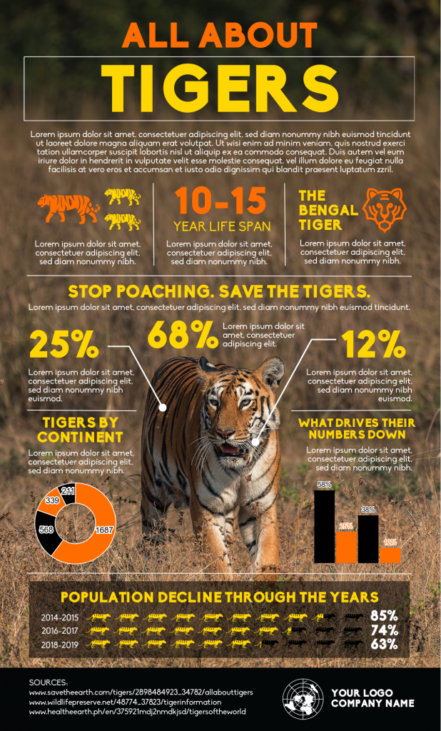 an infographic template about tigers