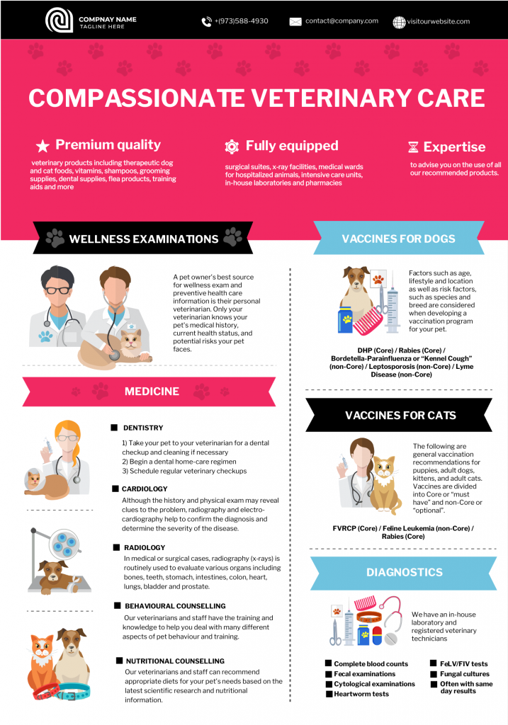 an informational infographic template for veterinary clinics