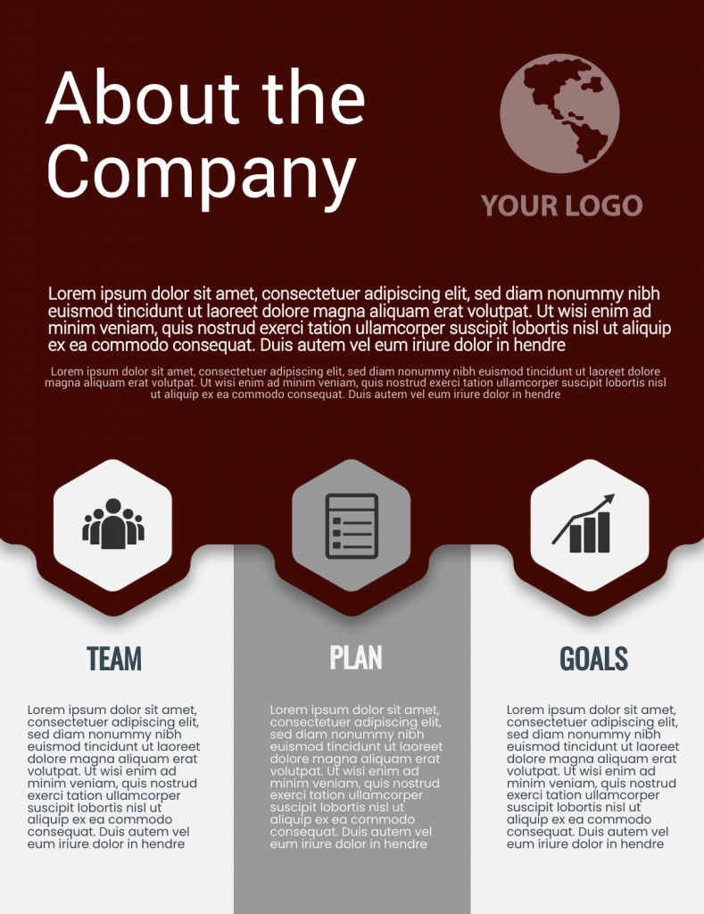 company infographic template