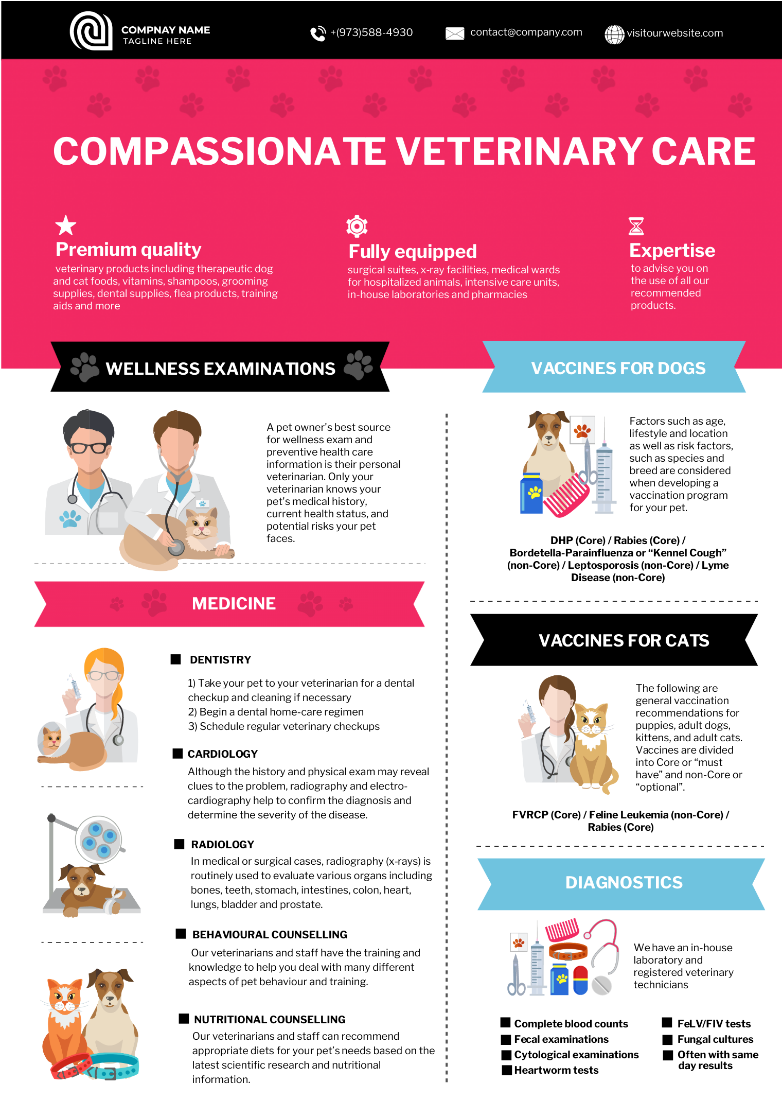 Vet clinic infographic template