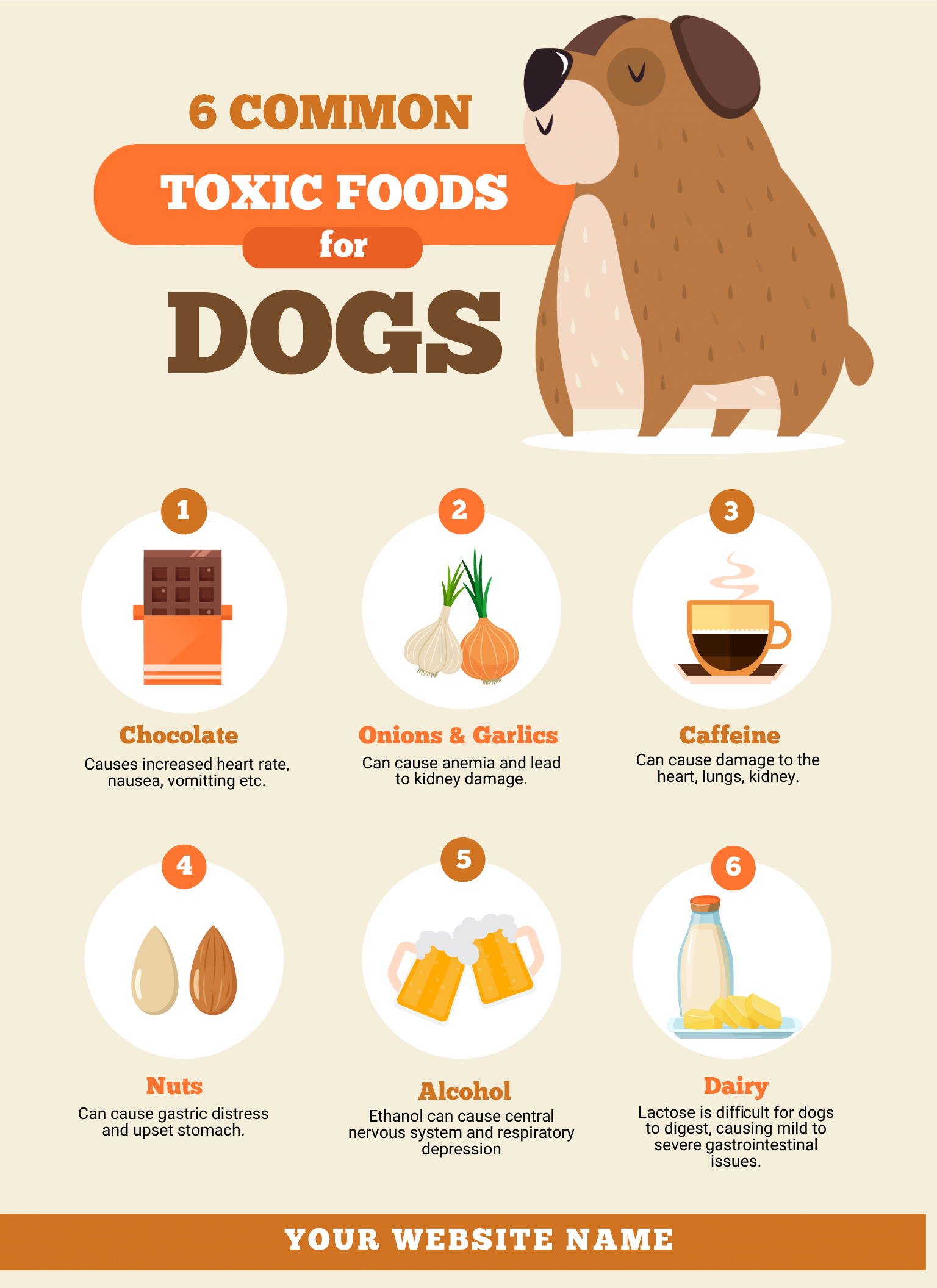Dog toxic food infographic template