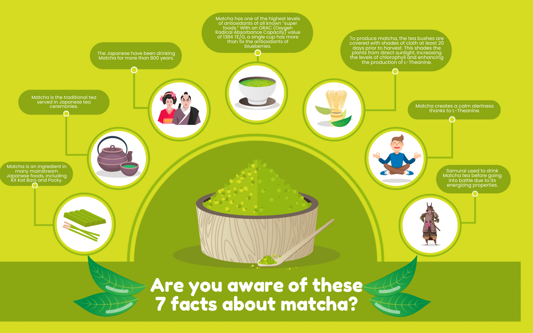 Matcha infographic template