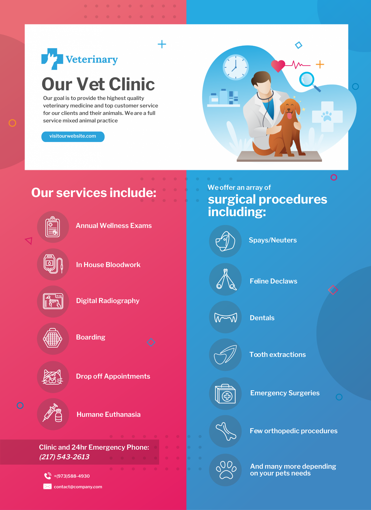 Veterinary clinic infographic template