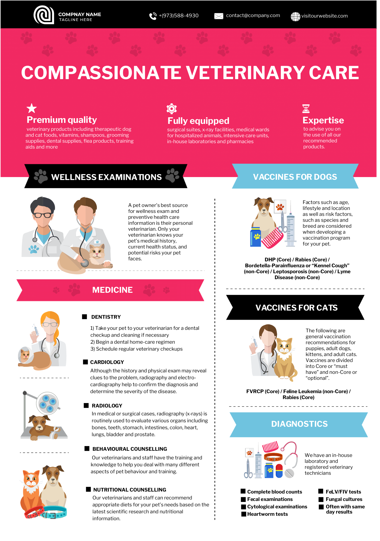 Veterinary care infographic template