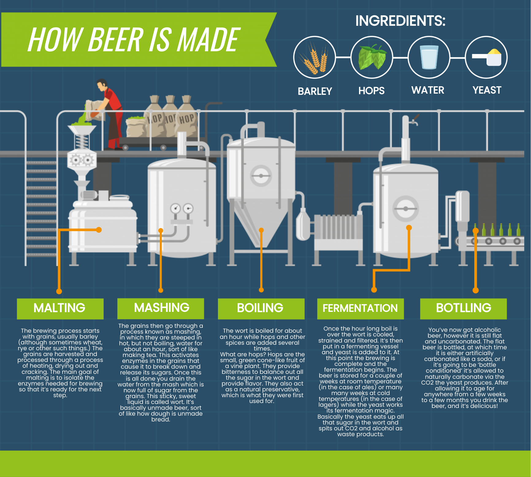 an infographic about the beer making process.