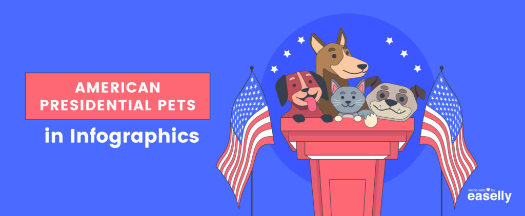 American Presidential Pet Infographics