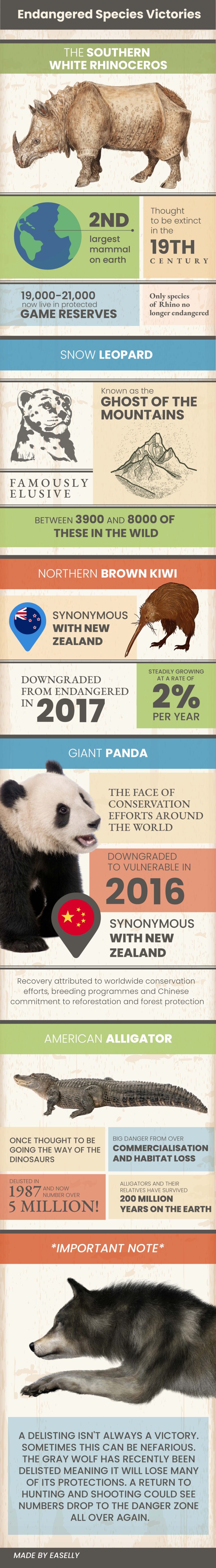 Endangered Species Infographics that answer all your questions