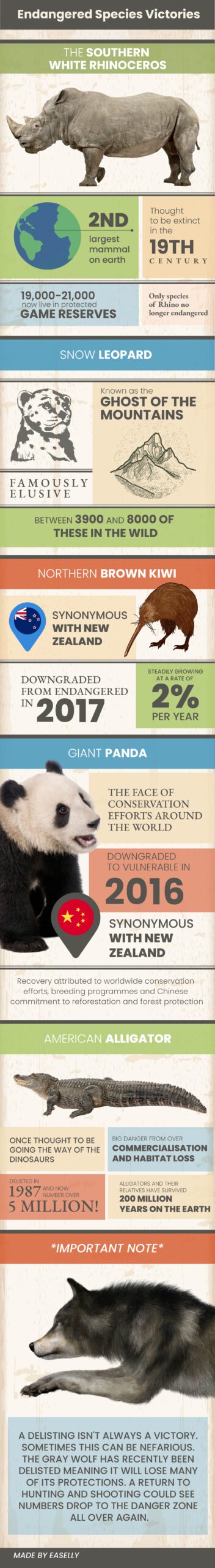 Endangered Species Infographics that answer all your questions