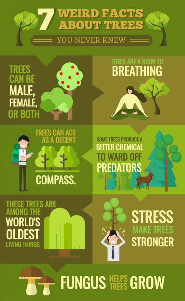 Environmental Infographic Template