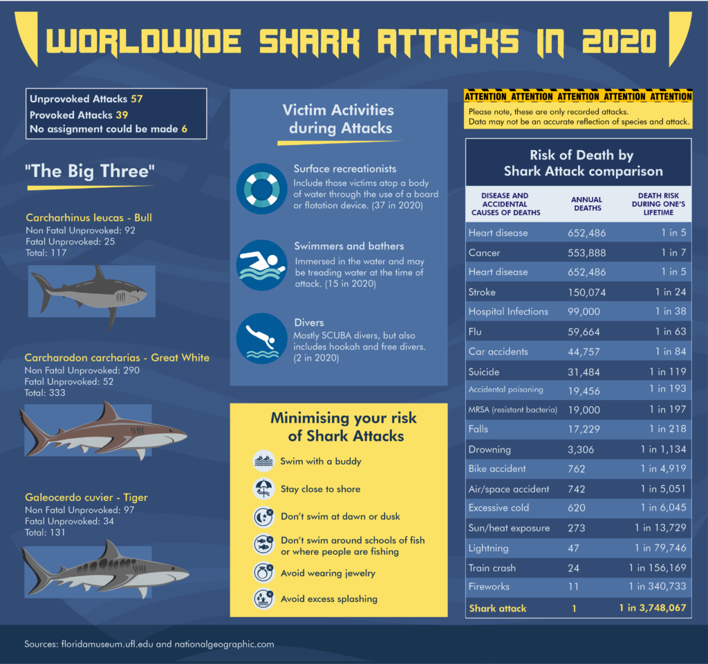 Infographic displaying all the statistics regarding shark attack species etc