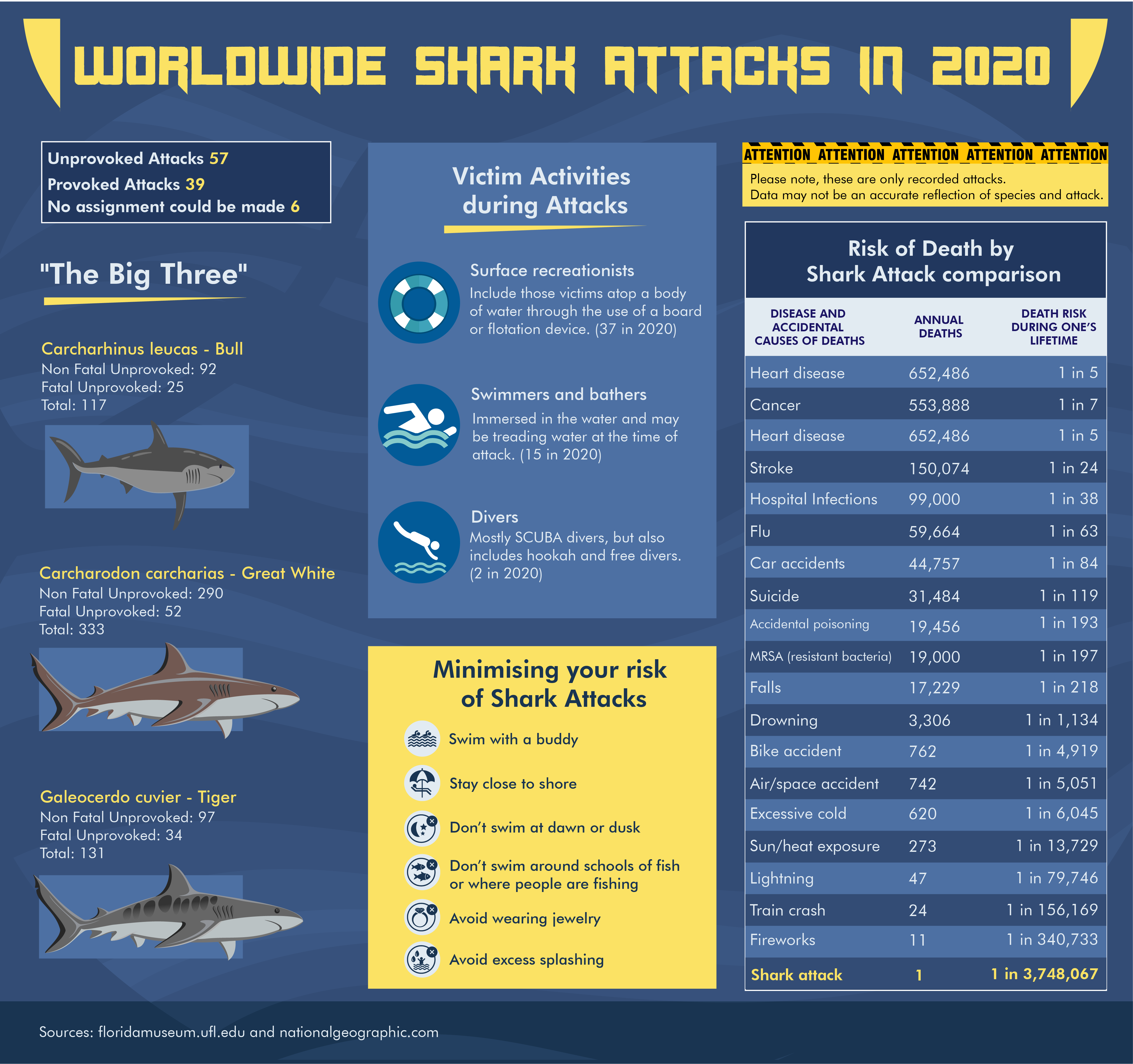 Scientists Shocked That White Sharks Swim Near Humans but Don't Attack