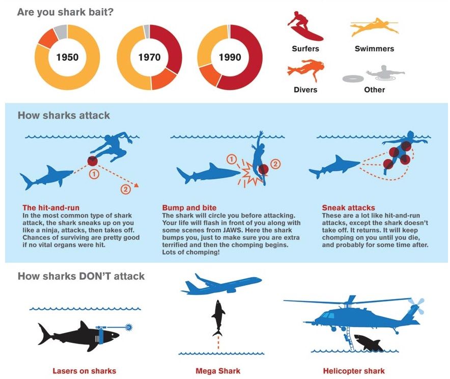 Shark Attack Infographic showing the usual methods of attack.