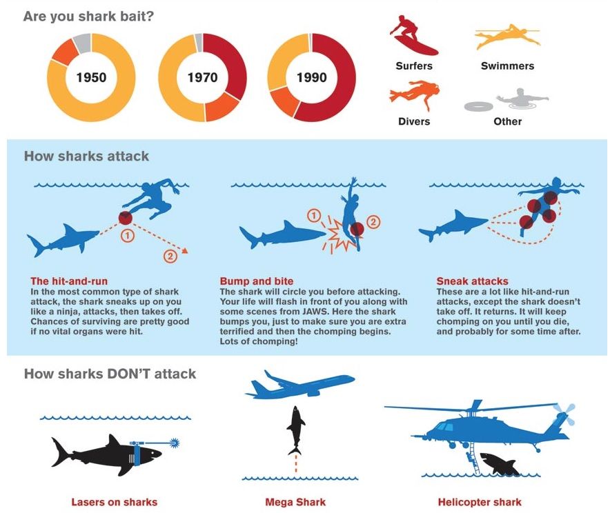 Shark Attack Infographics: Why you don't need to be afraid of sharks.